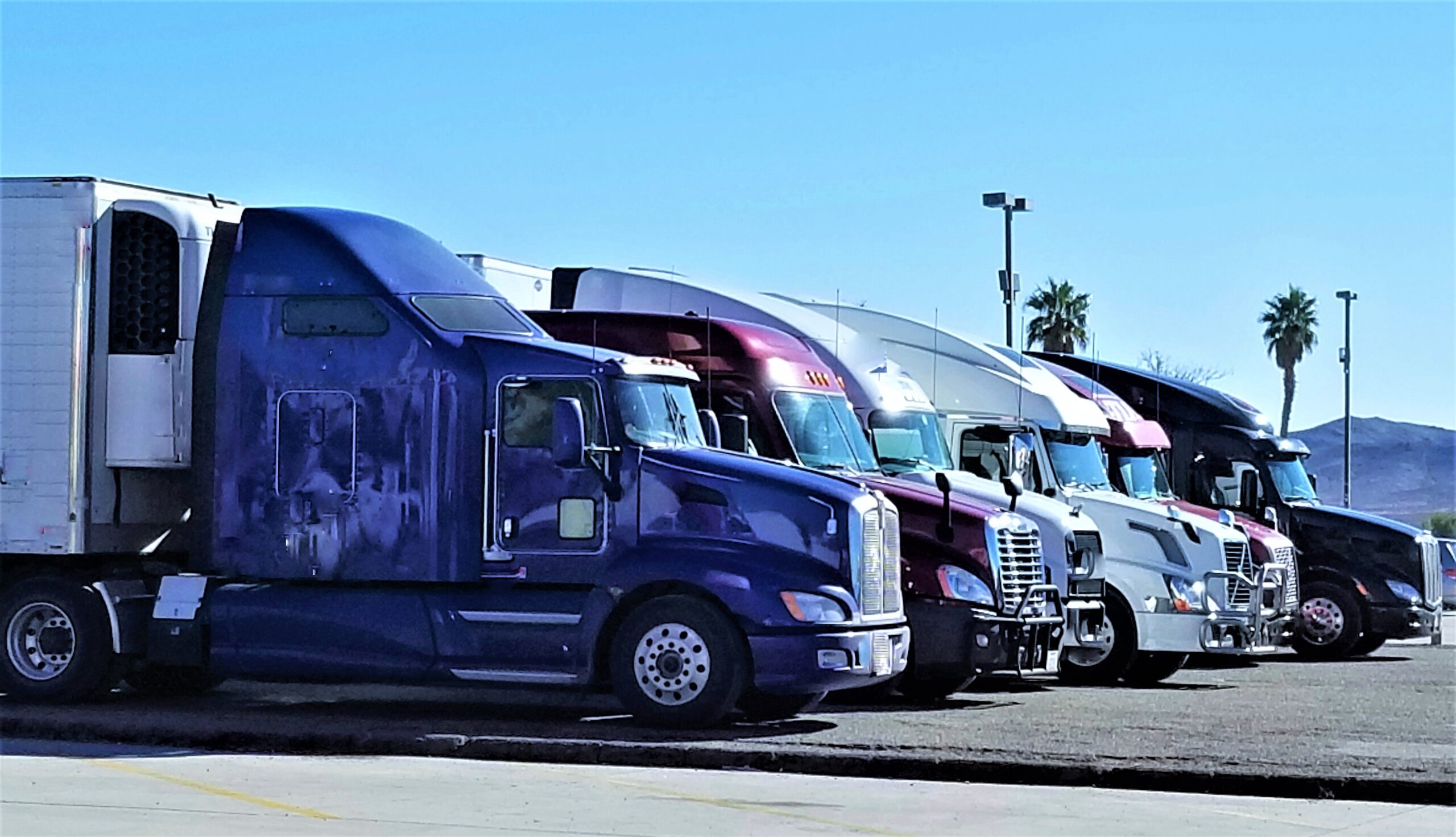 Why Trucking is Vital for Express Freight Management