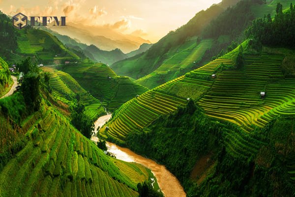 Vietnam