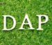 DAP Incoterms